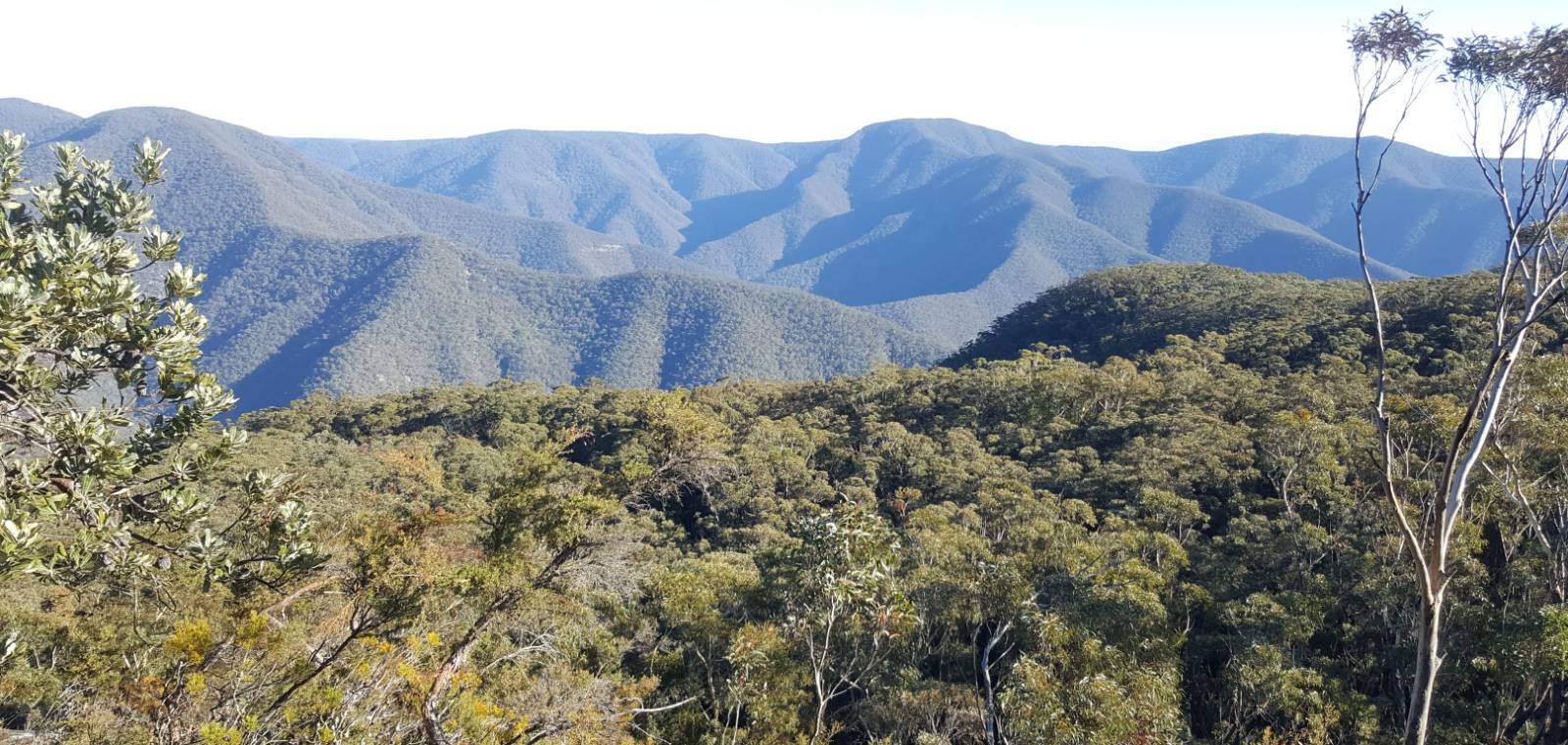 View from Mt Morilla on Day 2 of K2K | <i>Lauren Storaker</i>