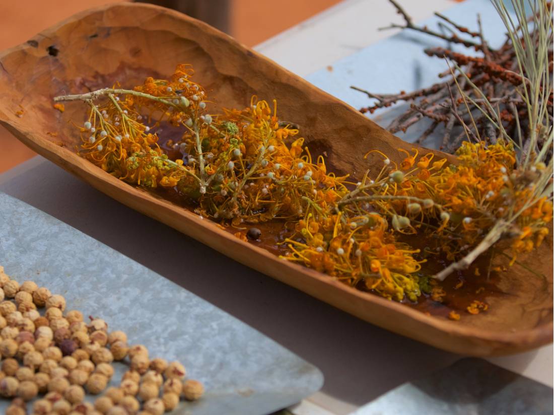 Guides showcasing bush foods during an Indigenous cultural experience |  <i>Tourism NT/Chris Tangey</i>