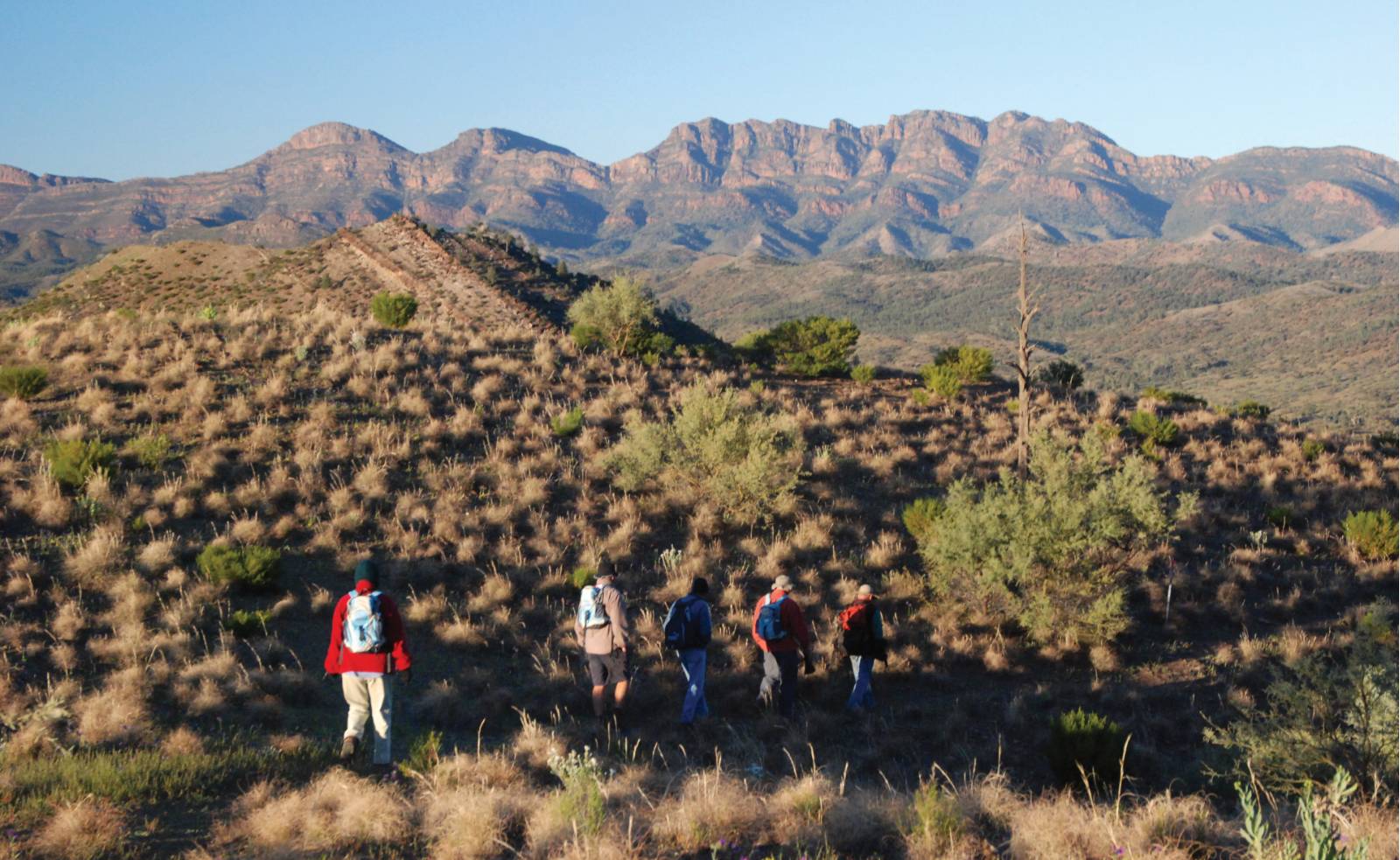 The Heysen Trail traverses the Bunyeroo Valley with Wilpena Pound in the background | <i>Chris Buykx</i>