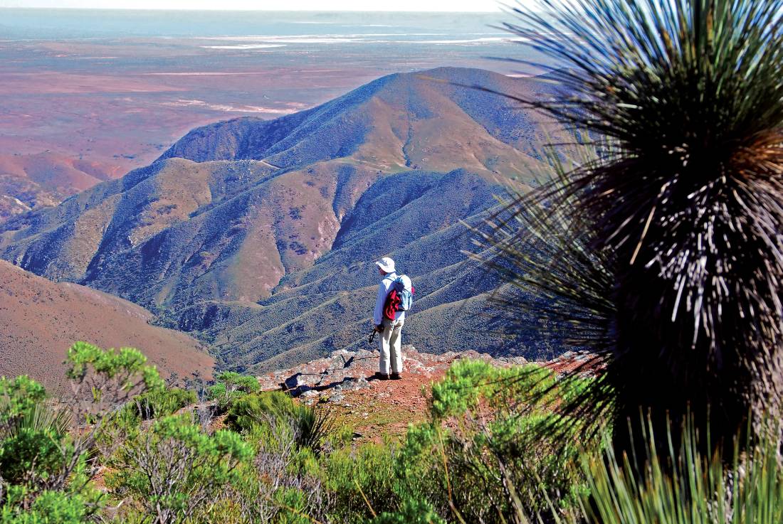 The summit of Dutchmans Stern is one of many highpoints in our Heysen Trail itinerary |  <i>Chris Buykx</i>