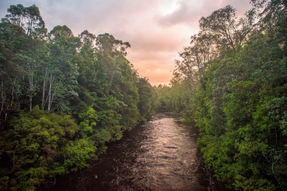 The Pristine Tasmanian Wilderness World Heritage Area. |  <i>Glenn Walker</i>