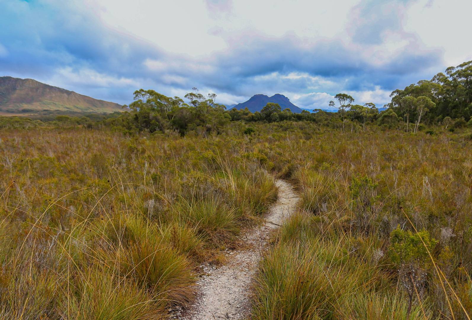 Viewing Mount Solitary from the Port Davey Track | <i>Tourism Australia & Graham Freeman</i>