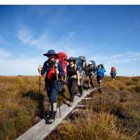 Trekking the legendary Overland Track, Tasmania |  Matt Horspool