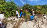 Beach clean-up is an important part of coastal restoration and regeneration